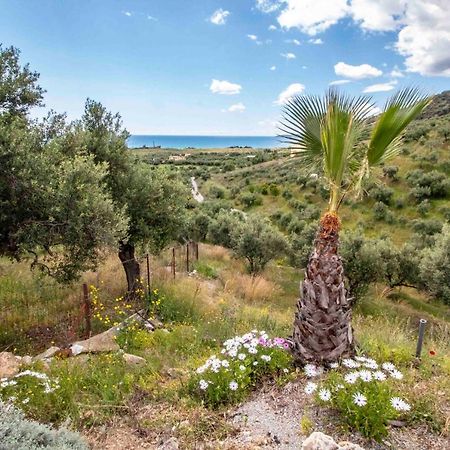 Laconian Collection # Gytheio Sea View Kostantinos Apartment# Selinitsa Екстер'єр фото